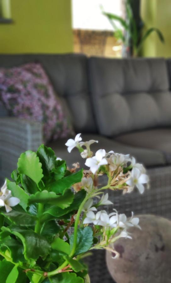 B&B Aquavert Tournai Bagian luar foto