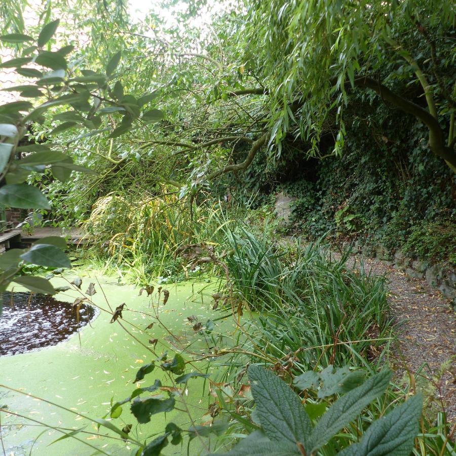 B&B Aquavert Tournai Bagian luar foto